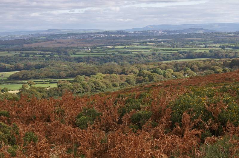 Cefn Bryn